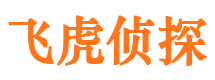 黄龙侦探公司